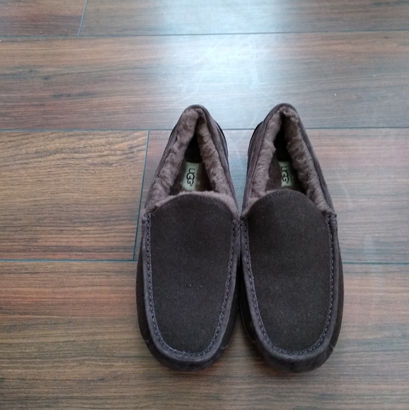 Ugg Men Ascot Slippers - Picture 1 of 5